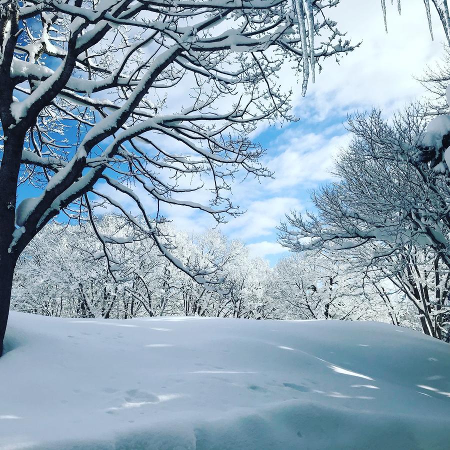 Base Camp The Lodge Myoko Ngoại thất bức ảnh